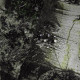 Шарф-труба StormWall Sequoia (7362)