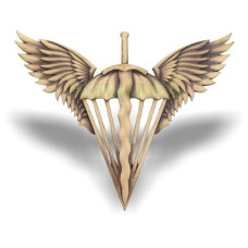Беретній знак десантно-штурмової войск