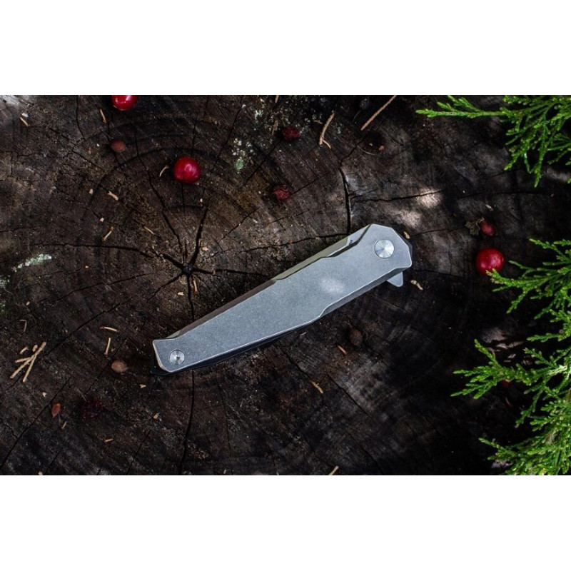Ніж Ruike P108-SF